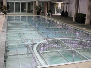 Custom Built Staging: Brand Live - Dr Peter Pool Cover