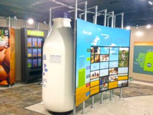 Custom Built Displays: Panther - Rayner Exhibit